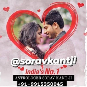 Love Problem Solution logo