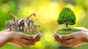 Environment Conservation and Afforestation Foundation, Chandigarh logo