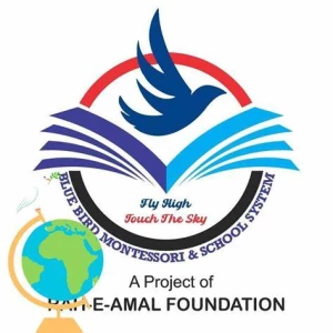 Safe Hands Immigration and Studies, Kharar logo