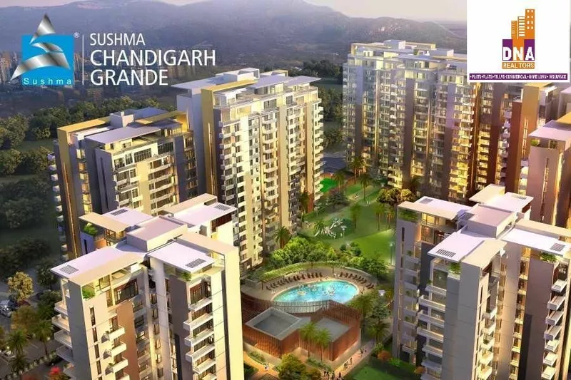 Sushma Grande