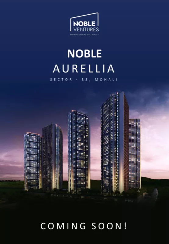Noble Callista