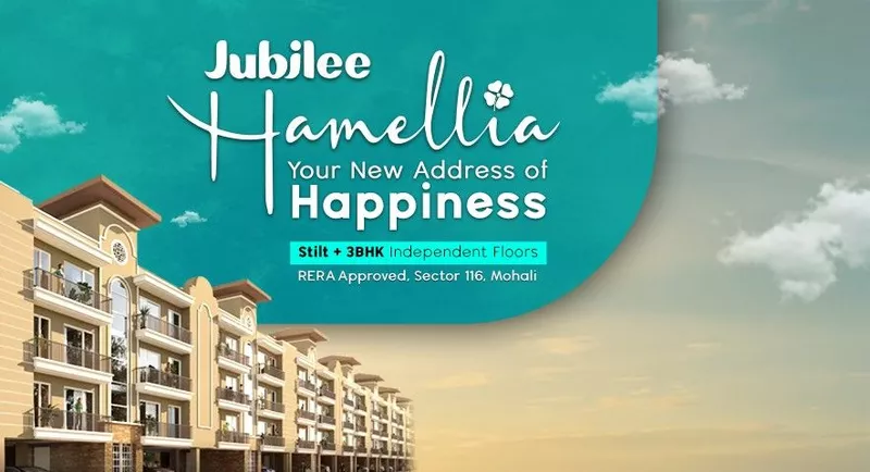 Jubilee Hamellia