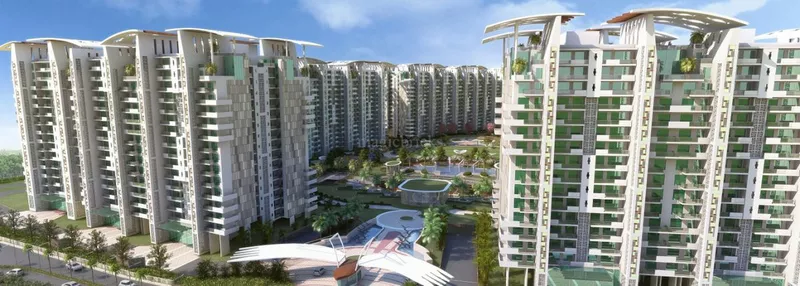 JLPL Falcon View