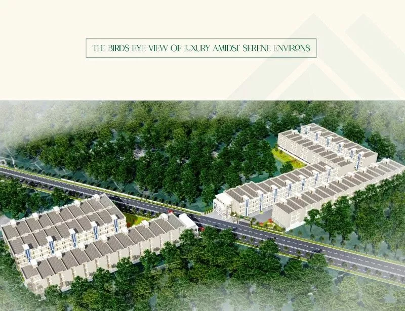 Motia Aero Greens