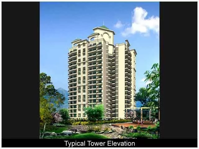 Bhoomi The Amazon