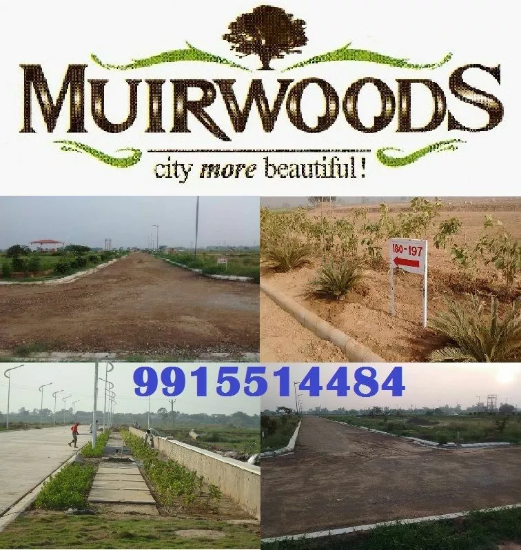 Altus Muirwoods