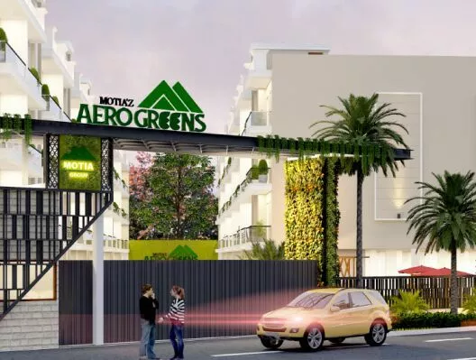 Motia Aero Greens