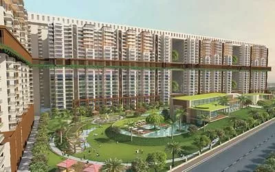 Oasis Green