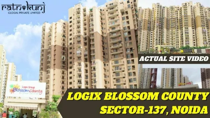 Logix Blossom County