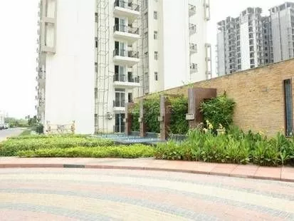 Sikka Karnam Greens