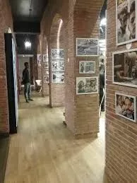 Roots Salon | Best Salon in Mohali | Best Salon in Tricity