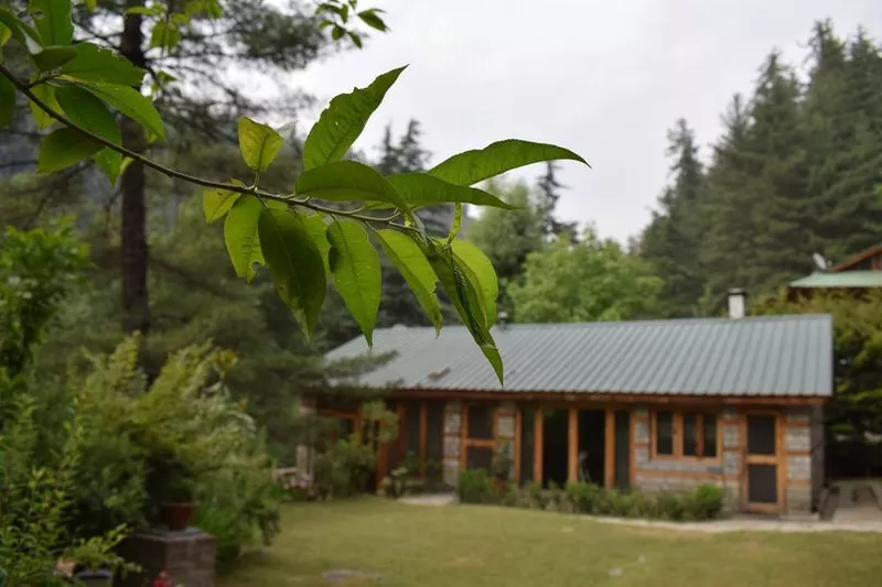 Start Your Day with Himalayan Sunshine at Tall Trees Resort