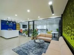 "Financial Accountant at RSM India – Delivering Insightful Solutions"